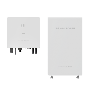 1 inverter + 1 battery