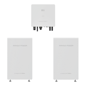 1 inverter + 3 battery